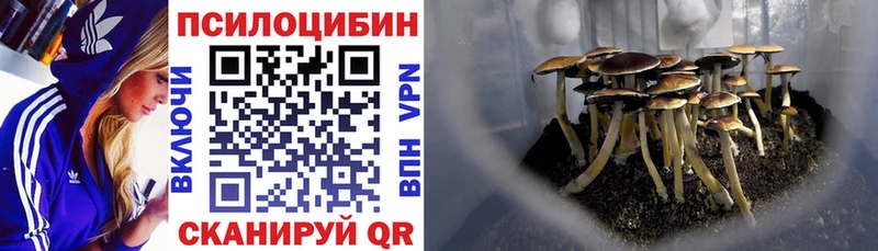 Галлюциногенные грибы Cubensis  Алейск 